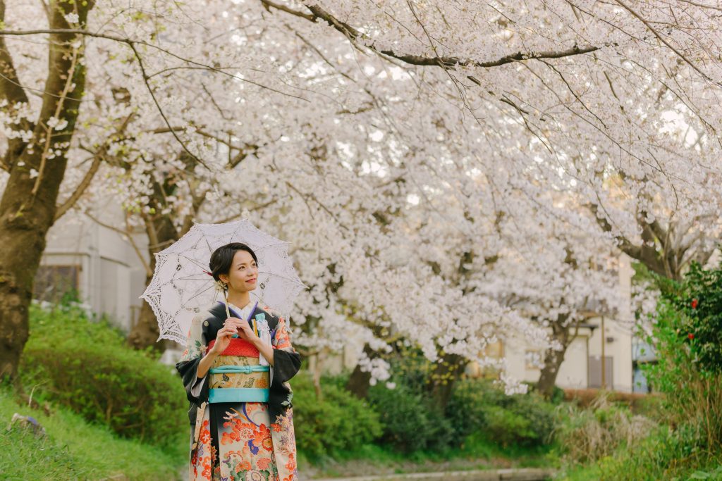 桜のロケーション撮影