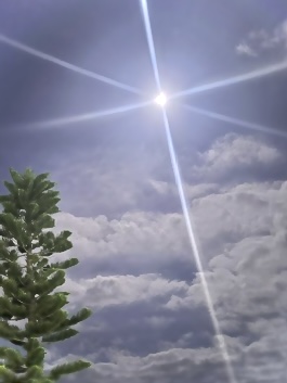 Bright sun with a starburst lens flare in a blue sky with scattered clouds; a pine branch appears on the left edge of the image.